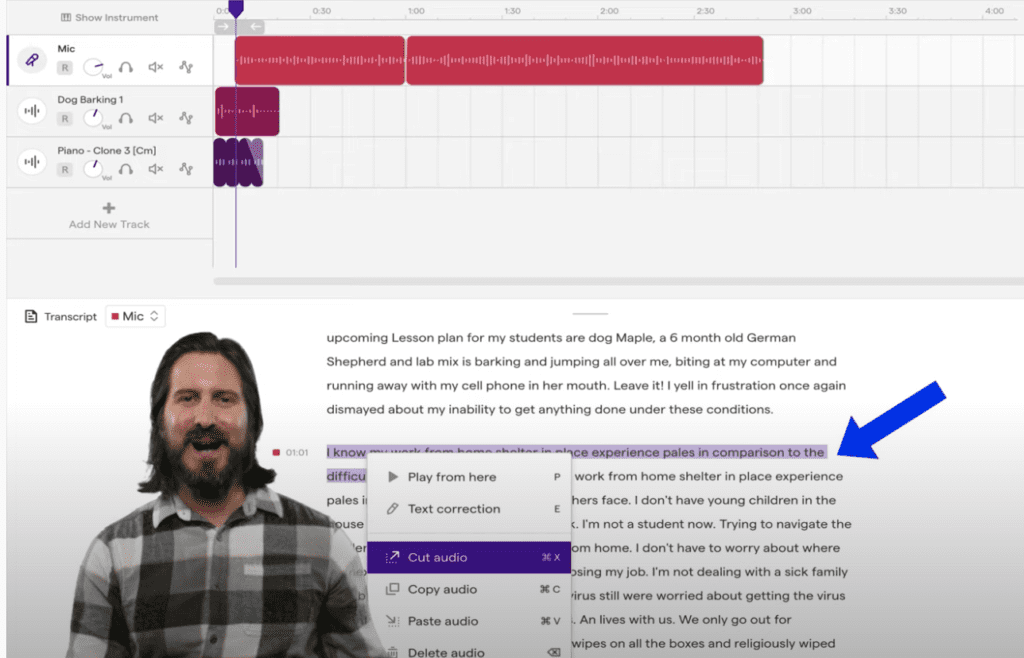 Edit Audio Directly in Transcription